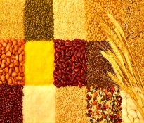 f(wn)|ِϣZИI(y) 2025-2027 (jng)(zhng)֣CR5  + ȫa(chn)I(y)朲I(y)ƾ·ɶԃ(xn)˾